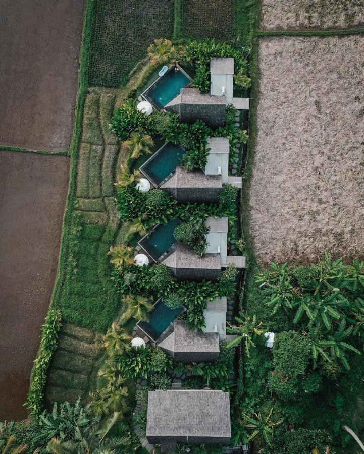 Lasamana Villas Ubud By Pramana Villas Kültér fotó